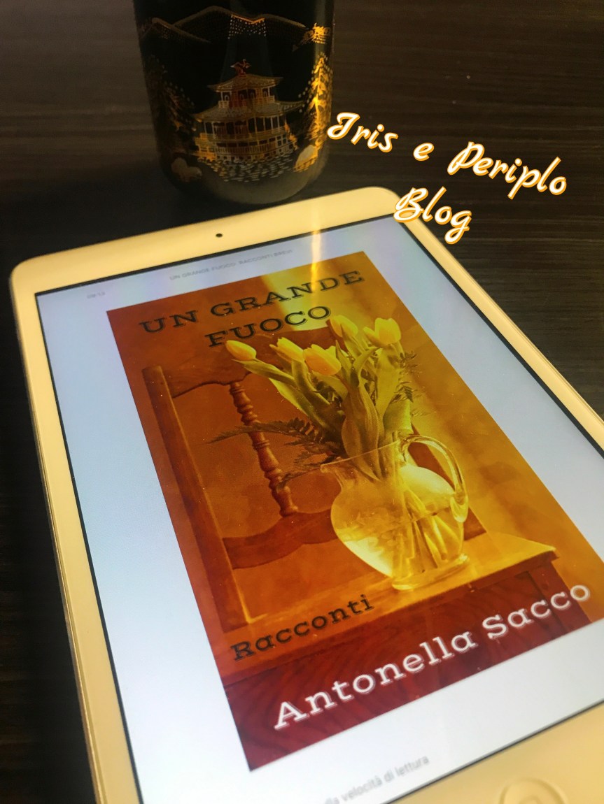 #recensione Un grande fuoco: Racconti brevi di Antonella&nbsp;Sacco