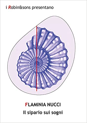 Il sipario sui sogni, il romanzo dell’autrice Flaminia&nbsp;Nucci